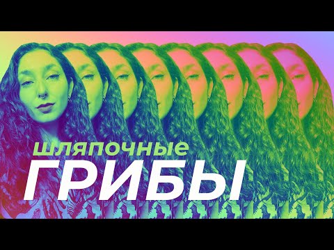 Видео: Шляпочные грибы — Экспресс-курс к ЦТ