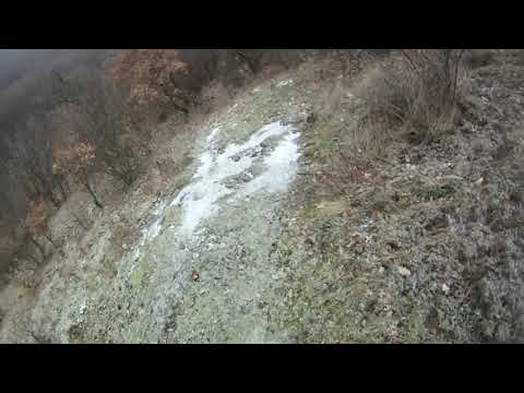 Видео: Лов на диво прасе (Wild boar hunting Bulgaria)