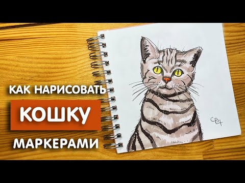 Видео: Как нарисовать кошку скетч маркерами | Рисунок для детей, поэтапно и легко