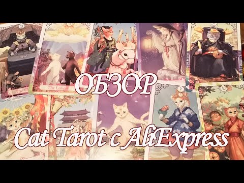 Видео: Cat Tarot - Обзор новой Кошачьей колоды Таро с Aliexpress