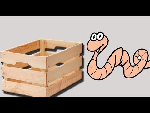 Видео: СОБИРАЕМ ЯЩИК ДЛЯ ЧЕРВЕЙ!