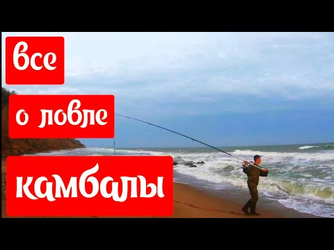 Видео: Все о ловле КАМБАЛЫ в ЗАТОКЕ.Тестируем новое удилище на КАМБАЛУ,Сильный шторм ,