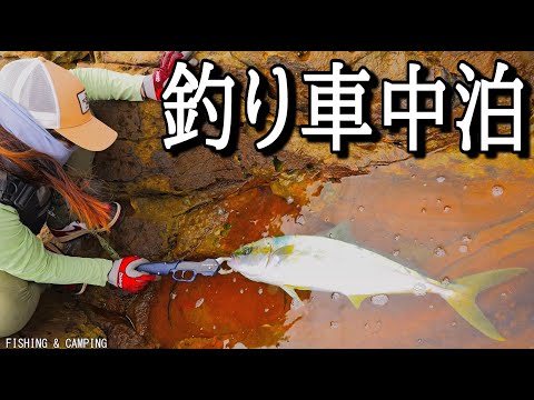 Видео: Когда женщина отправляется на ловлю голубой рыбы, которую она любит, ее ждет эмоциональный финал...