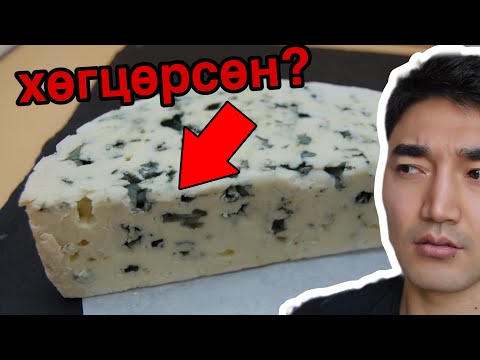 Видео: ХАМГИЙН ХАЧИРХАЛТАЙ БЯСЛАГНУУДЫГ АМТАЛЖ ҮЗЛЭЭ...