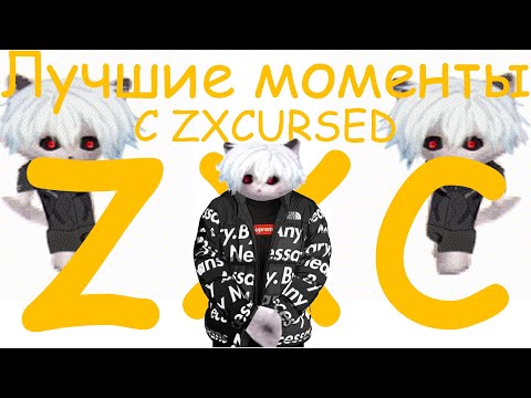 Видео: ЛУЧШИЕ МОМЕНТЫ С ZXCURSED