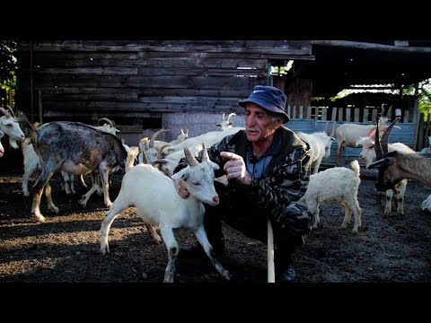 Видео: Аҧсы ҭоуп ҳара ҳхәышҭаара. Дранда ақыҭа (2-тәи ахәҭа)