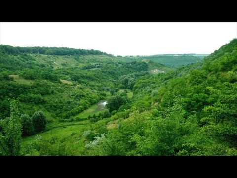 Видео: Загнитков природа