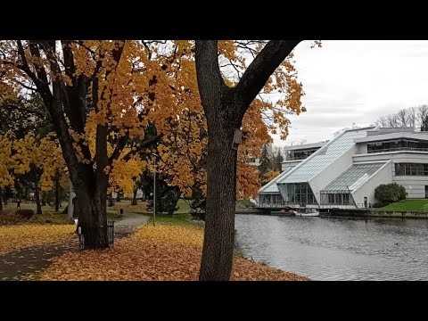 Видео: Осенний карнавал в парках Риги, 4 часть