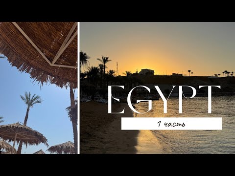 Видео: Наш отпуск в Египте/ SETI sharm hotel / Первые дни / Первые покупки 