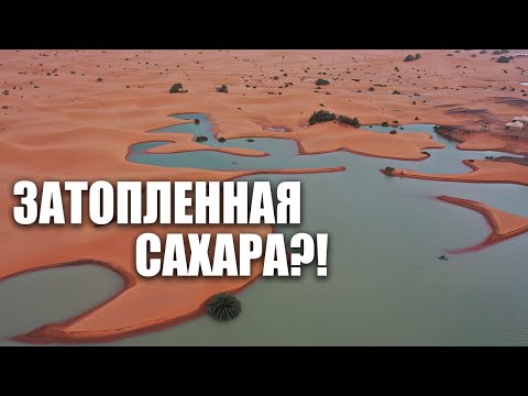 Видео: 12 000 лет без воды... и теперь Сахара ЗАТОПЛЕНА
