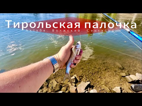 Видео: Ловля на тирольскую палочку. Ахтуба. Волжский. Сентябрь. Мой вариант оснастки.