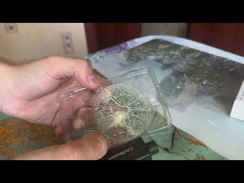 Видео: Проверил Устройство для экстренного разбивания стекла в машине и разрезания ремня безопасности