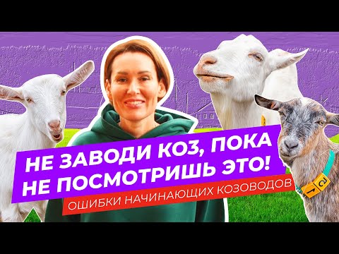 Видео: Решили купить хорошую дойную козу, но не знаете где и как выбрать? Тебе сюда! | Ошибки козоводов