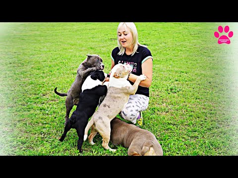 Видео: Последний влог на этом канале! Почему решили прекратить выпускать влоги. Новый канал "Яна и Гоша"