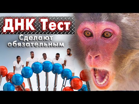 Видео: Реакция Макак на введение ДНК тестов в Роддомах