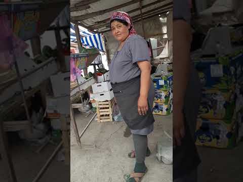 Видео: Қызылорда прокуротура және СЭС бөлімінің назарына