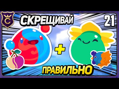 Видео: Как ПРАВИЛЬНО скрещивать Слаймов! 21 Slime Rancher 2 Прохождение