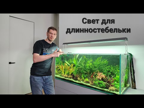 Видео: Свет для длинностебельки