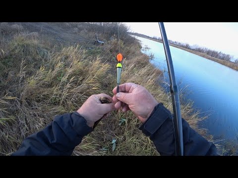 Видео: Здравствуй РОТАН ! Рыбалка осенью на ротана .