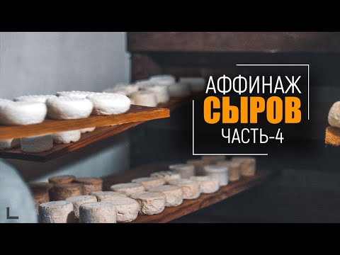 Видео: Как я ухаживаю за сыром | Аффинаж сыра (часть 4)