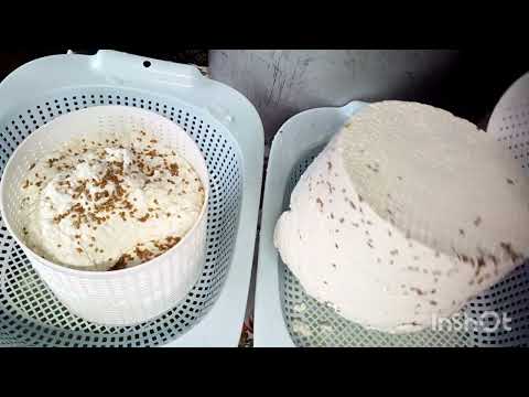 Видео: Сыр . Готовлю рыбу.Обзор моей кухни.