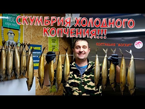 Видео: Скумбрия холодного копчения в Оборудовании Москит коптилка копчение