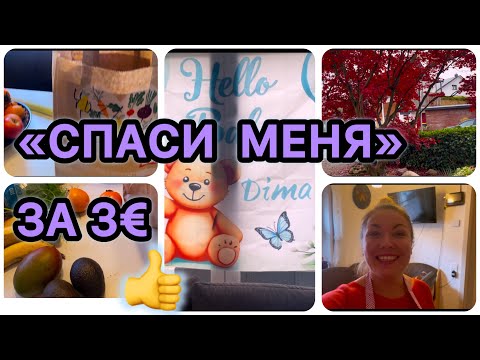 Видео: Теперь все дома🥰/ Столько всего и за 3 €👌/ Раньше была скептичная 🤔/ 🍁Наш клён-красафффчик🍁