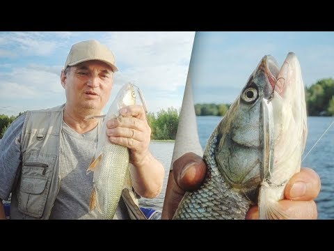Видео: Ловля жереха на блесну Гранка