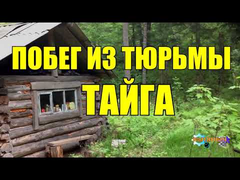 Видео: ПОБЕГ ИЗ ШОУШЕНКА НА РЕАЛЬНЫХ СОБЫТИЯХ ЗАКЛЮЧЕННЫЙ В ТАЙГЕ