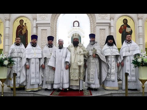 Видео: 2023.01.22 Архиерейское богослужение. Рукоположение в сан диакона чтеца Илии Браславского