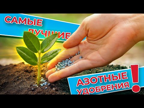 Видео: Лучшее азотное удобрение! И азота больше всего и усваиваеться лучше всего👍