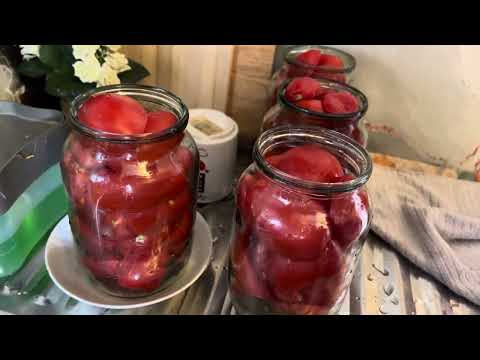 Видео: Томатик🍅наш братик 😂🍅Мой ласковый и нежный зверь 🐈🐕‍🦺Журавли улетели 🪶🍂 :Выпуск 20