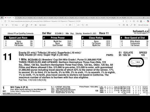 Видео: Полный анализ и прогнозы на забег на дистантную милю Breeders Cup 2025 года