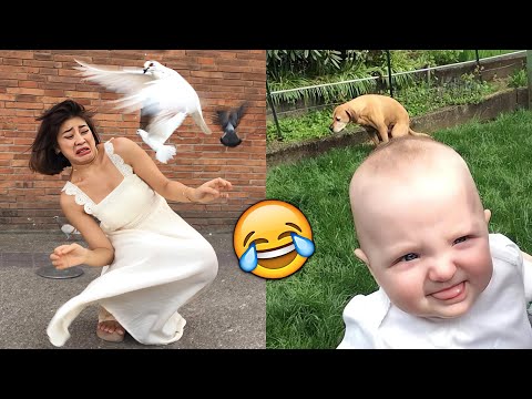 Видео: ЛУЧШИЕ ПРИКОЛЫ 2025 Смеяться До Слез 😂