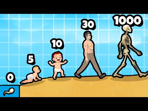 Видео: ЭВОЛЮЦИЯ ЖИЗНИ ЧЕЛОВЕКА НА МАКСИМАЛЬНЫЙ УРОВЕНЬ В 100 ЛЕТ!