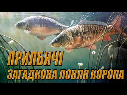 Видео: ПРИЛБИЧІ.ЗАГАДКОВА ЛОВЛЯ КОРОПА.ТРУДОВА РИБАЛКА НА НОВІЙ ВОДОЙМІ.