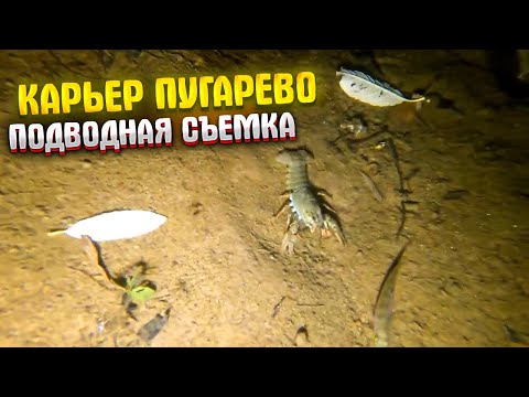 Видео: Карьер Пугарево, подводная съемка, 2021.