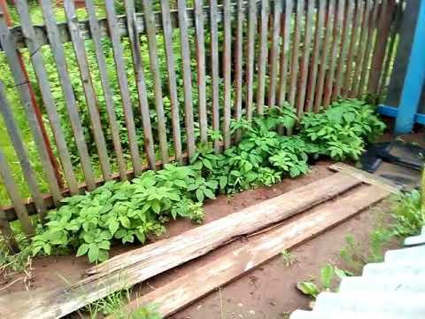 Видео: Опыт использования Эргобокс при высоком уровне грунтовых вод