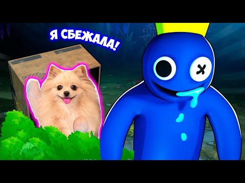 Видео: ЭТО ВАМ НЕ ХАГГИ ВАГГИ ! СБЕЖАЛА ОТ РАЗНОЦВЕТНЫХ МОНСТРИКОВ В РОБЛОКС