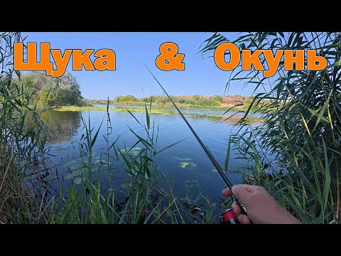 Видео: Рибалка на ЩУКУ і ОКУНЯ літом
