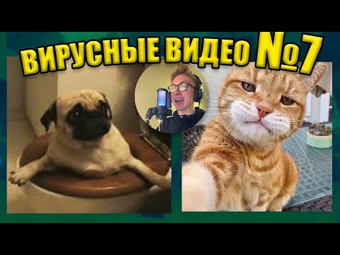 Видео: ВИРУСНЫЕ ВИДЕО / Озвучка смешных видео №7