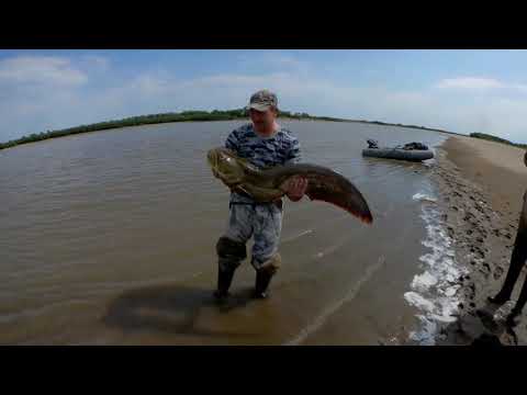 Видео: Лучшая блесна. Рыбалка на спиннинг.