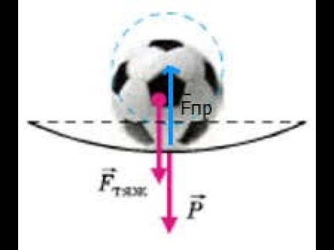 Видео: Урок 10(Закон Гука.Сила тяжіння.Вага)