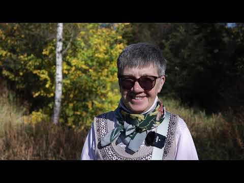 Видео: №870🍁🍂🍁Очарованье сентября