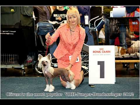 Видео: Нашей красавице Глиндочке исполнилось уже 14 лет.