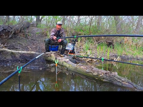 Видео: ОЦЕ ТАК ЛАПТІ 🐟🐟🐟 Рибалка на карася.🎣 Ловля на поплавок.