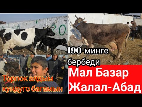 Видео: Мал Базар Жалал-Абад Манас 