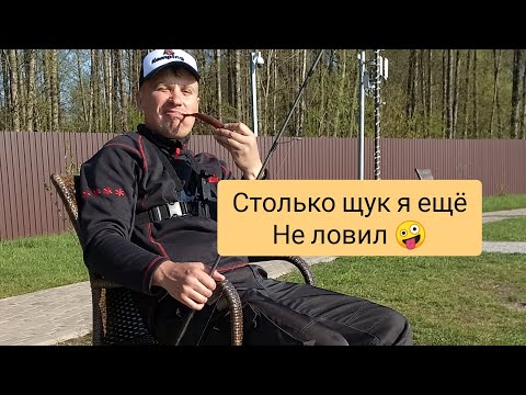 Видео: эта Лужа просто Кипит Крупной Щукой