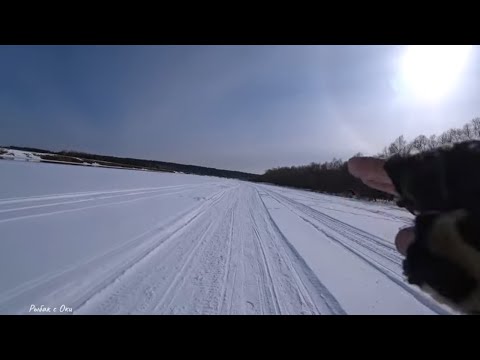 Видео: Зимняя Рыбалка в Марте на Оке 2024! База "Ока"- Жирное место на Сома!