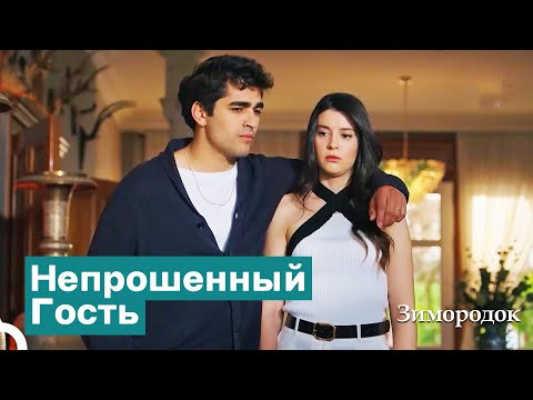 Видео: Сюрприз Для Сейран И Ферита | Зимородок
